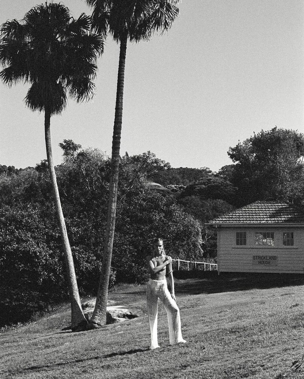 Person stands on a grassy slope beside tall palm trees, with a small house labeled 'Strickland House' in the background.