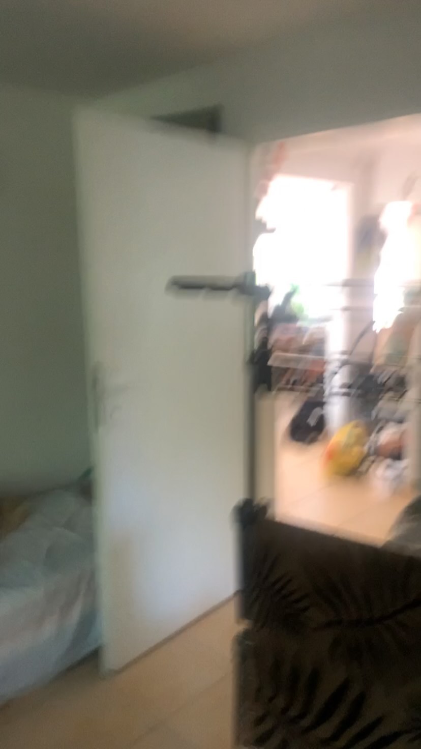 Blurry view of a doorway from a bedroom into a bright living area with scattered items and a zebra-pattern chair in the foreground.