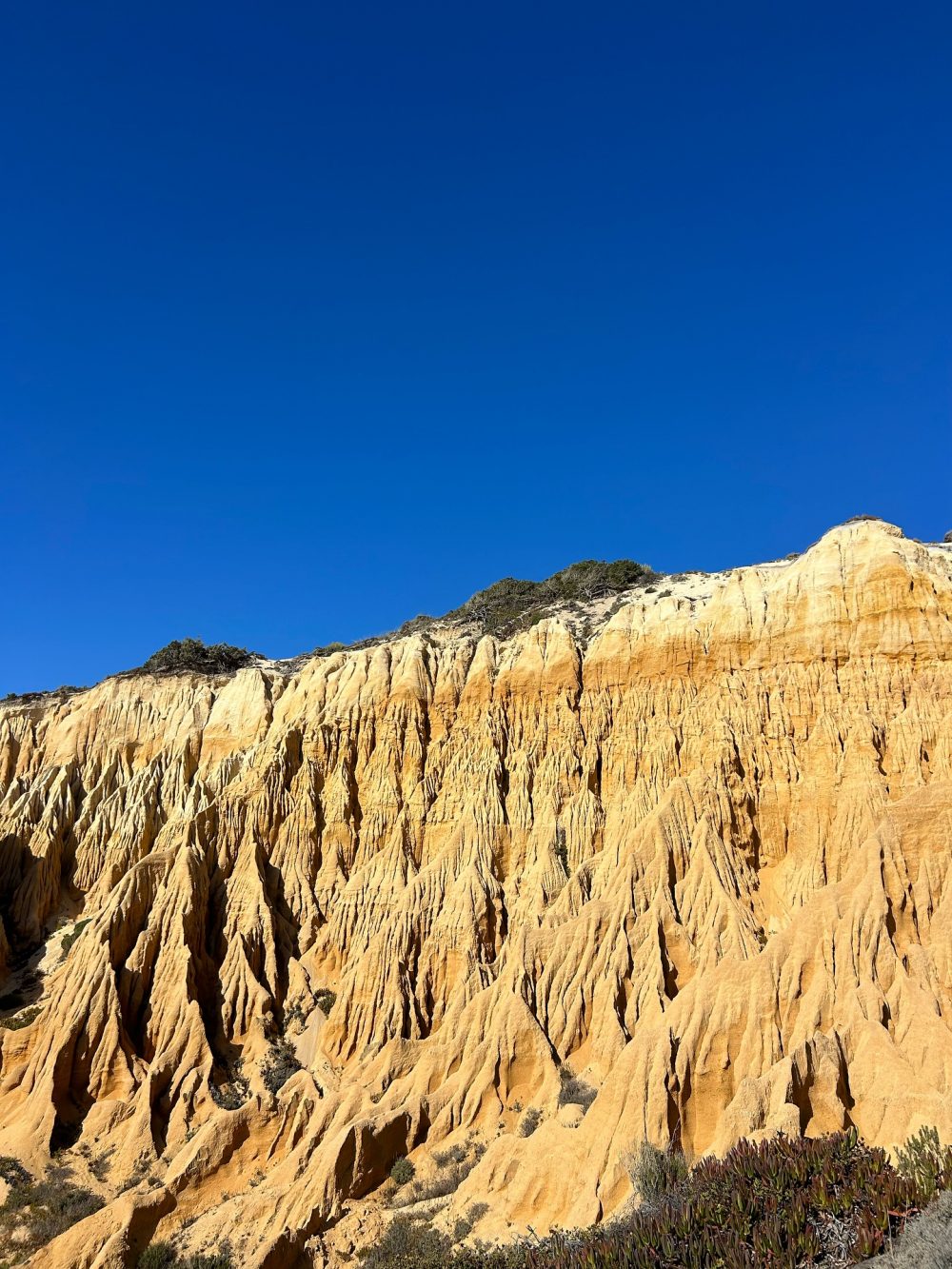 Sunlit orange sandstone cliff with jagged, ribbed formations against a deep blue sky.