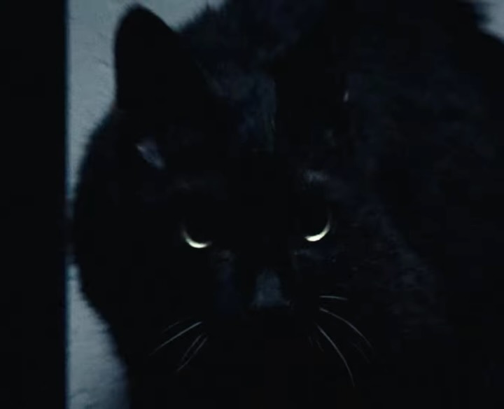 Black cat in near-total darkness with glowing yellow-green eyes peering out from the shadows near a doorway.